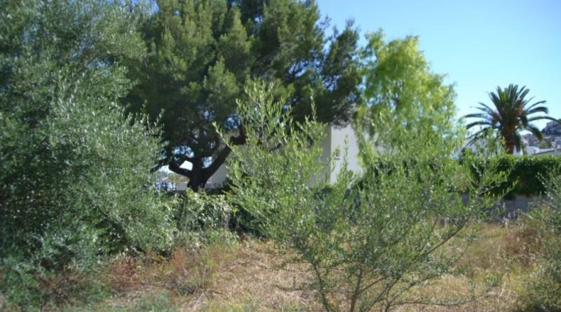 Balearic Islands - Andratx - 638m2