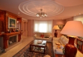 Detached villa with land for sale on España, Santa Susanna, ref: TR276972 photo