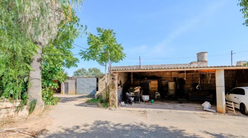 Illes Balears - Campos - 32000m2