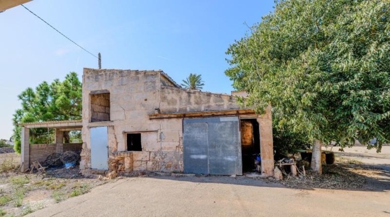 Illes Balears - Campos - 32000m2