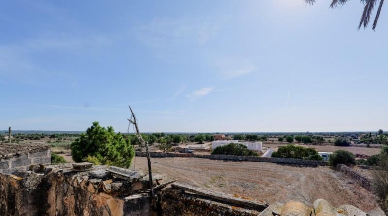 Illes Balears - Campos - 32000m2
