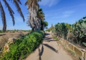 Chalet independiente con terreno en venta en la España, Campos, ref: TR400207 foto