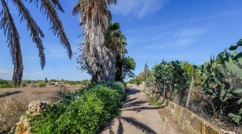 Illes Balears - Campos - 32000m2