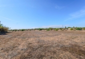 Chalet independiente con terreno en venta en la España, Campos, ref: TR400207 foto