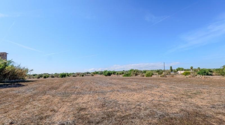 Illes Balears - Campos - 32000m2