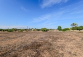 Chalet independiente con terreno en venta en la España, Campos, ref: TR400207 foto