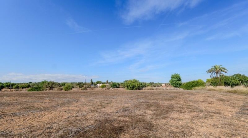 Illes Balears - Campos - 32000m2