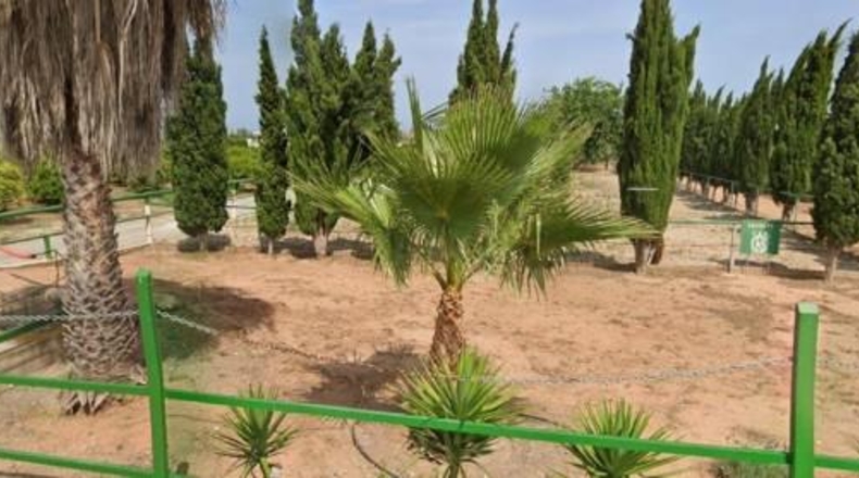 Valencia - Sagunto - 10384m2