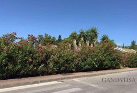 Marbella 1223&nbsp;m²