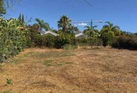 Marbella 1223&nbsp;m²