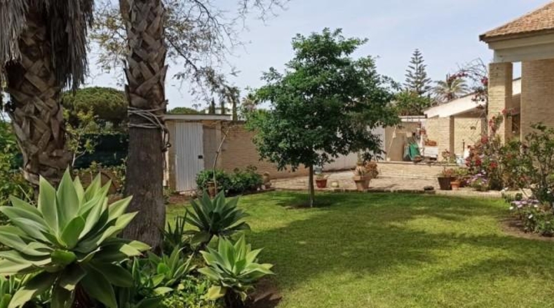 Cádiz - Chiclana de la Frontera - 1000m2