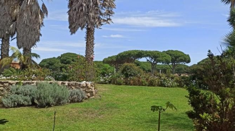 Cádiz - Chiclana de la Frontera - 1000m2