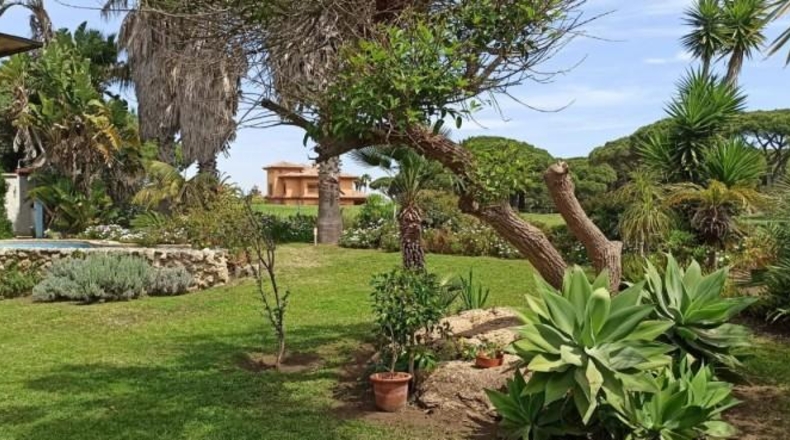 Cádiz - Chiclana de la Frontera - 1000m2