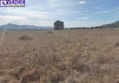 Chalet independiente con terreno en venta en la España, Sax, ref: TR144198 foto