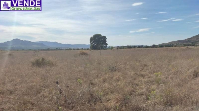Alicante - Sax - 325000m2