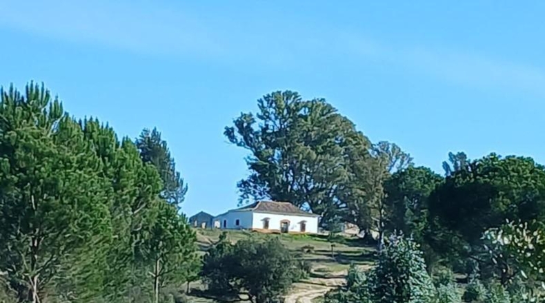 Huelva - Almonte - 470000m2