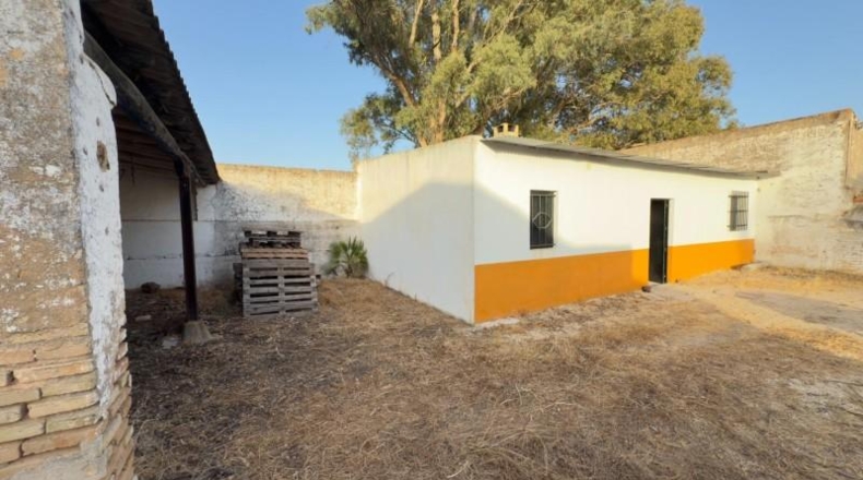 Huelva - Almonte - 470000m2