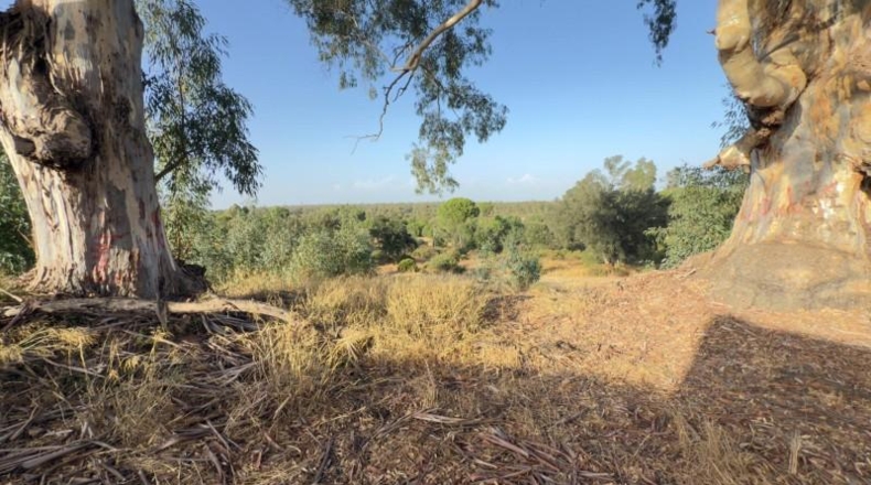 Huelva - Almonte - 470000m2