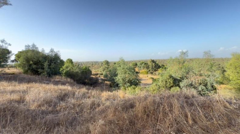 Huelva - Almonte - 470000m2