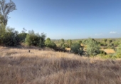 Chalet independiente con terreno en venta en la España, Almonte, ref: TR348213 foto