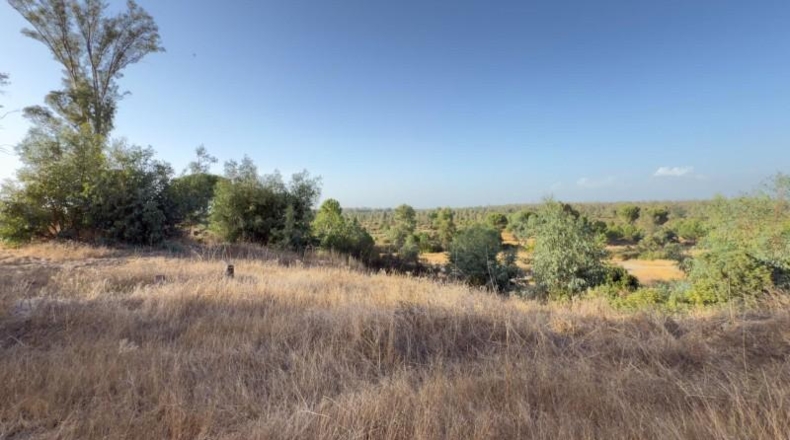 Huelva - Almonte - 470000m2