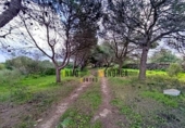 Casa de campo con terreno en venta en la España, Ciutadella de Menorca, ref: TR172561 foto