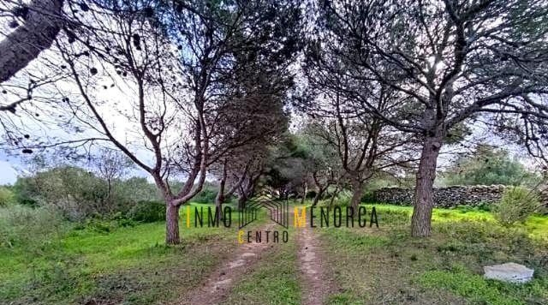 Balearic Islands - Ciudadela - 80000m2
