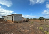 Chalet independiente con terreno en venta en la España, Santa Margalida, ref: TR163610 foto
