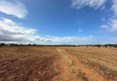 Chalet independiente con terreno en venta en la España, Santa Margalida, ref: TR163610 foto