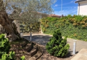 Xalet independent amb terreny en venda a la España, Lleó, ref.: TR158829 foto