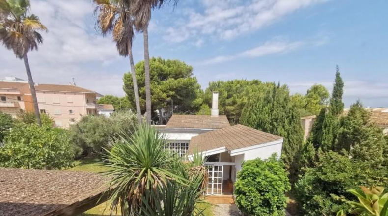 Balearic Islands - Muro - 1260m2
