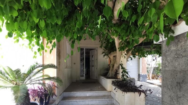 Balearic Islands - Muro - 1260m2
