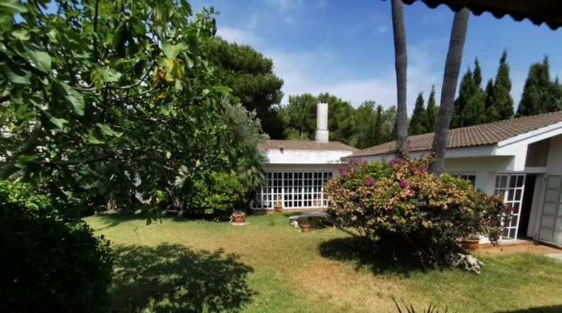 Balearic Islands - Muro - 1260m2