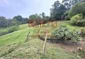 Casa de campo con terreno en venta en la España, Villanueva de Villaescusa, ref: TR264216 foto