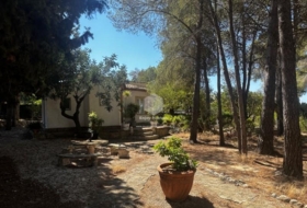 Foto 19
