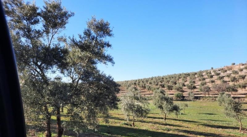 Córdoba - Lucena - 714000m2