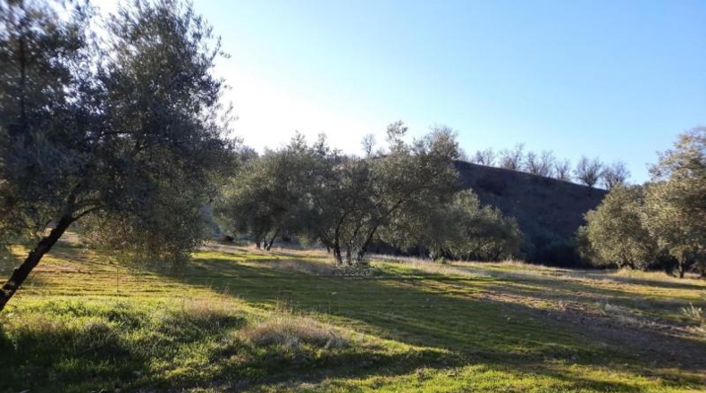 Córdoba - Lucena - 714000m2
