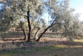 Foto 16
