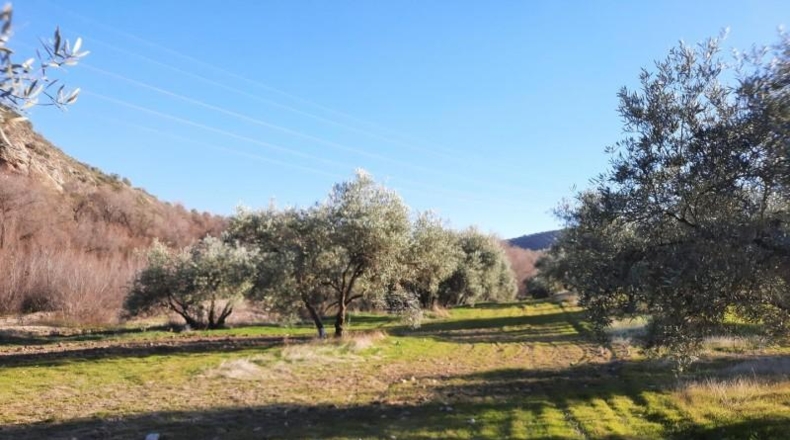Córdoba - Lucena - 714000m2