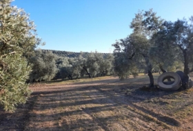Foto 18