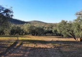 Terreno no urbanizable en venta en la España, Lucena, ref: TR194568 foto