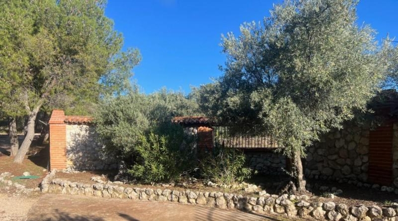 Comunidad de Madrid - Chinchón - 33115m2