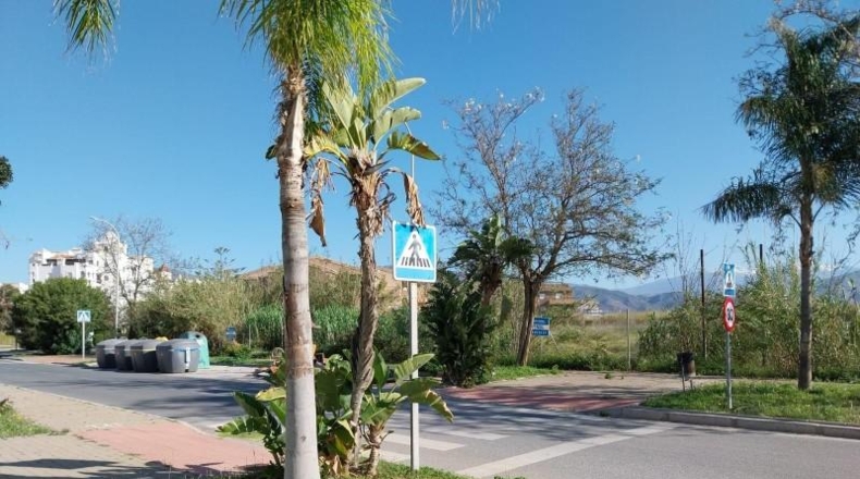 Granada - Salobreña - 6659m2