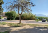 Suelo urbano en venta en la España, Salobreña, ref: TR129879 foto