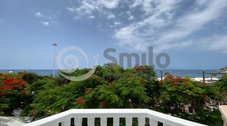 Santa Cruz de Tenerife - Adeje - 199m2