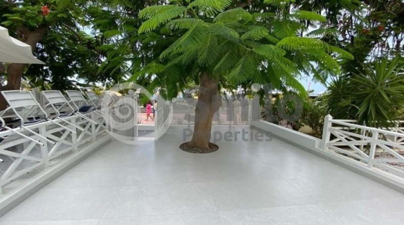 Santa Cruz de Tenerife - Adeje - 199m2