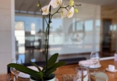 Chalet independiente con terreno en venta en la España, Adeje, ref: TR401392 foto