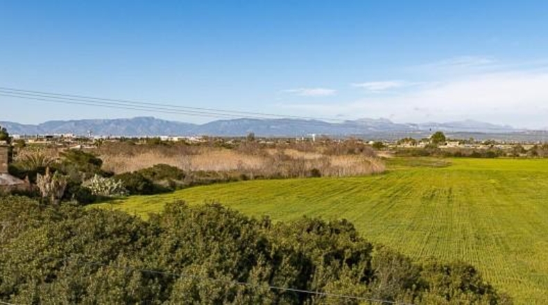 Balearic Islands - Palma - 894m2