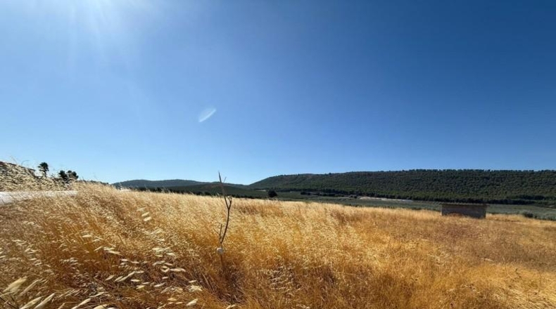 Málaga - Humilladero - 15600m2