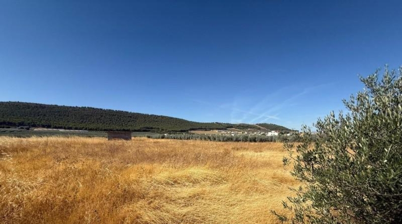 Málaga - Humilladero - 15600m2